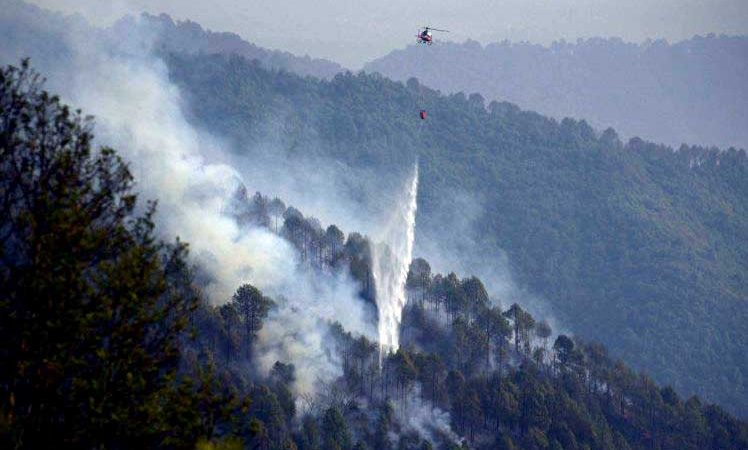 शिवपूरी नागार्जुन राष्ट्रिय निकुञ्जको डढेलो नियन्त्रणमा
