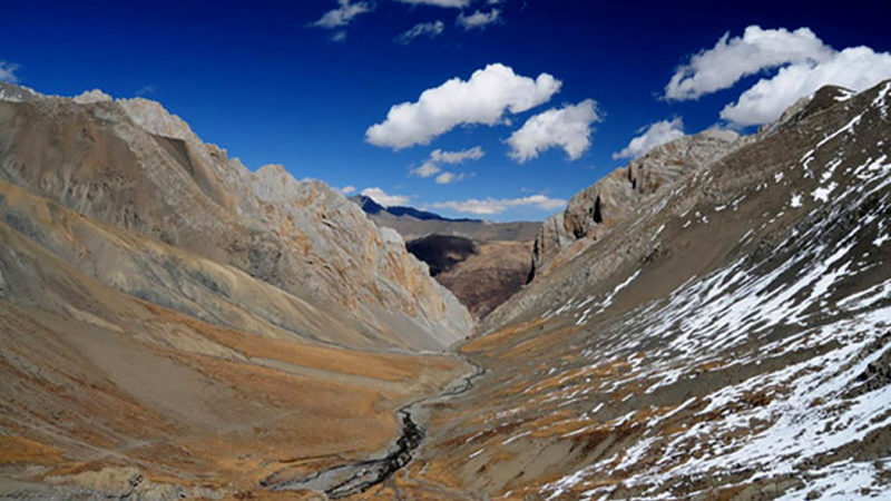 यार्सागुम्बा नखुल्दै टिप्न पाटन पुगेका एकको मृत्यु