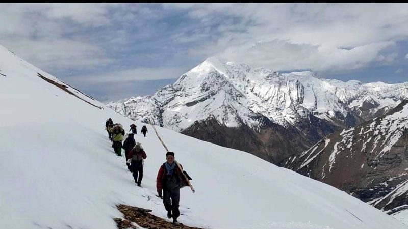 प्राणको बाजी लगाएर भारी हिउँमा यार्सागुम्वा सङ्कलनका लागि डोल्पाको जगदुल्ला गाउँपालिकाको बाहिर पुदुवा लेखबाट तुइजुम झर्दै गरेका सर्वसाधारणहरु । तस्वीर : हेमन्त केसी/ रासस