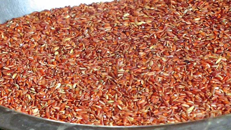 जुम्लाको मार्सी चामल, सिमी र कोदो  क्यानडा निर्यात गरिने