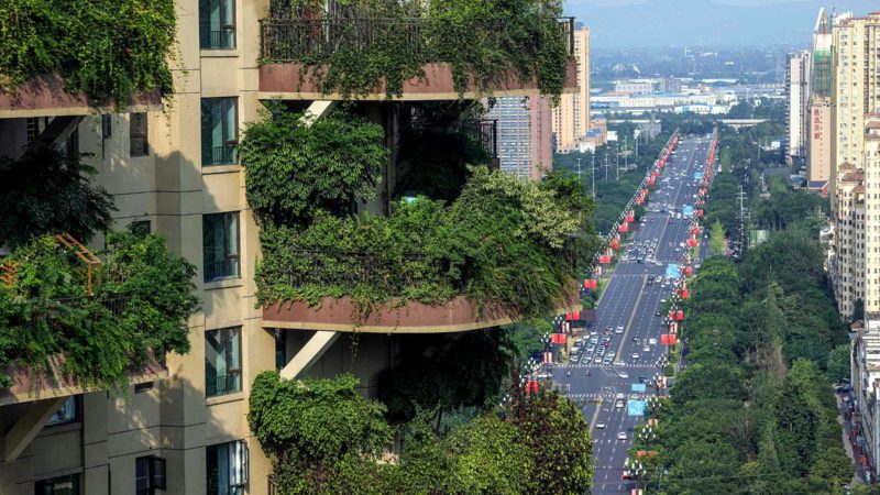 This photo taken on July 12, 2021 shows apartments with balconies covered with plants at a residential community in Chengdu in China's southwestern Sichuan province. - Green spaces have also been shown to improve health and wellbeing, including reducing stress, anxiety and depression, improving attention and focus, better physical health and managing Post Traumatic Stress Disorder. (Photo by STR / AFP) / China OUT / TO GO WITH Environment-climate-cities,FEATURE