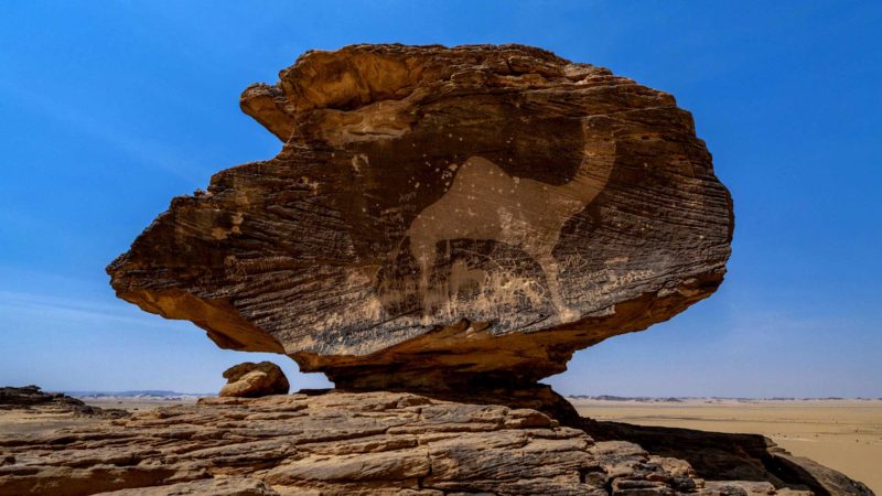 (210724) -- HIMA CULTURAL AREA (SAUDI ARABIA), July 24, 2021 (Xinhua) -- File photo taken on Sept. 20, 2020 shows a rock art image in Hima Cultural Area in southwest Saudi Arabia. Saudi Arabia's Hima Cultural Area was on July 24, 2021 officially recognized by UNESCO as a World Heritage Site during its 44th session held online and chaired from Fuzhou, China. Located in an arid and mountainous area of southwest Saudi Arabia, on one of the Arabian Peninsula's ancient caravan routes, the Hima Cultural Area contains a substantial collection of rock art images depicting hunting, fauna, flora and lifestyles in a cultural continuity of 7,000 years, according to UNESCO official website. (Saudi Arabia's Ministry of Culture/Handout via Xinhua)