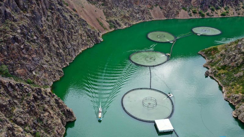 (210716) -- URUMQI, July 16, 2021 (Xinhua) -- Aerial photo taken on June 17, 2021 shows a salmon farming base in Karasu Township, Nilka County, Urumqi, northwest China's Xinjiang Uygur Autonomous Region. Adhering to the "people-centered" philosophy of development, Xinjiang has witnessed a brisk growth in both its economy and social affairs. With steadily increased input in projects for public well-being, people of all ethnic groups now have equal opportunities to develop their careers, to contribute to regional construction, and to share a happy life and effectively ensured economic rights. (Xinhua/Ding Lei)