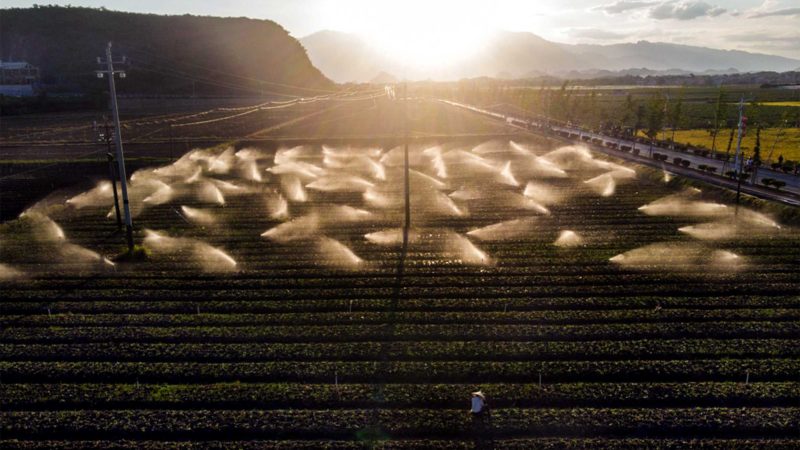 YONGZHOU, Aug. 31, 2021 (Xinhua) -- Aerial photo taken on Aug. 30, 2021 shows an irrigation system watering the vegetables at a vegetable base in Qingtang Township, Daoxian County of Yongzhou City, central China's Hunan Province. (Xinhua/Chen Sihan)