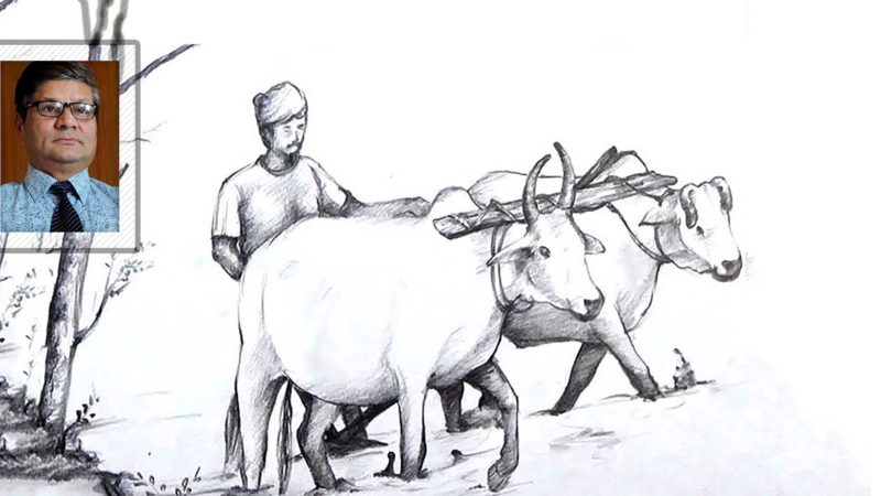 हलीको विलाप