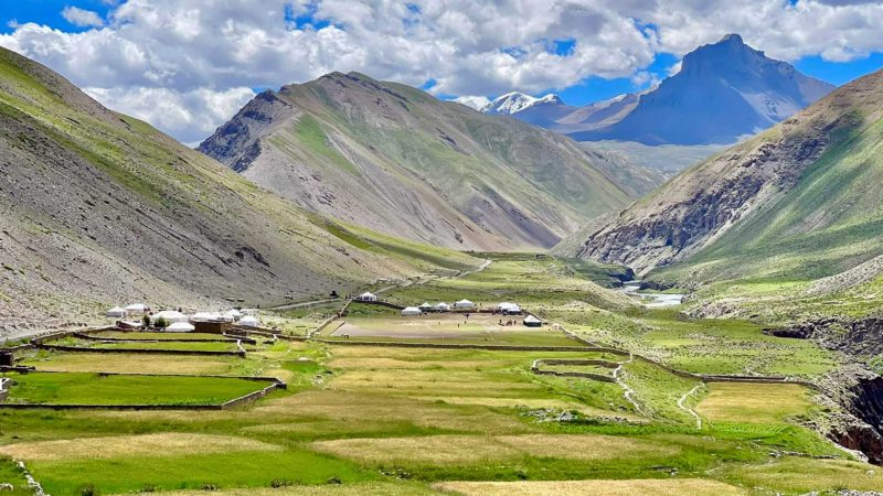  समुद्र सतहबाट करिब चार हजार मिटरको उचाइमा रहेको डोल्पोबुद्ध गाउँपालिका– ६ फालगाउँमा  पाक्दै गरेको उवा बाली । तस्बिरः हेमन्त केसी/रासस