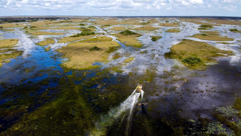 A airboat is seen hovering over Everglades wetland in Everglades wetlands in Everglades National Park, Florida on September 30, 2021. - The largest wetland in the United States is the battleground for one of the largest ecological conservation efforts in the world.
But time is running short, and global warming is threatening a subtropical wilderness that is home to more than 2,000 species of animals and plants. (Photo by CHANDAN KHANNA / AFP)