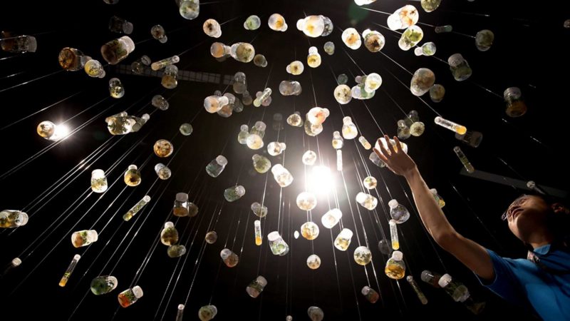 KUNMING, Oct. 10, 2021 (Xinhua) -- A visitor views samples containing germinated seeds at an exhibition held by the Chinese Academy of Sciences (CAS) in Kunming, southwest China's Yunnan Province, Oct. 10, 2021. Ahead of the 15th meeting of the Conference of the Parties to the UN Convention on Biological Diversity (COP15) in Kunming, CAS held an event on its biodiversity preservation and study, as well as achievements on biodiversity research. (Xinhua/Jin Liwang)