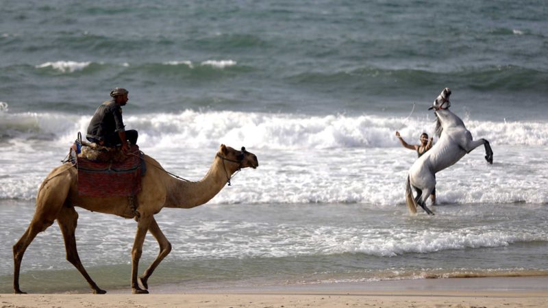 A man plays with a horse as another rides a camel at the Mediterranean Sea beach of Gaza City in the northern Gaza Strip, Friday Oct. 1, 2021. The beach is one of the few open public spaces in this densely populated city. (AP Photo/Hatem Moussa)