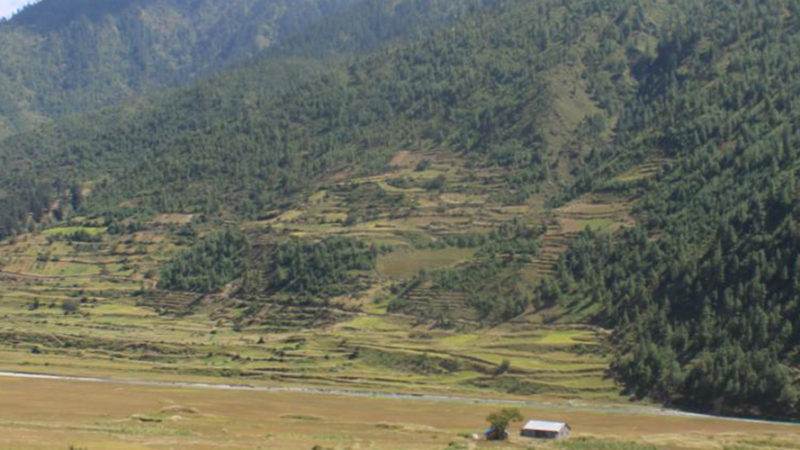 एक शताब्दीपछि धानखेत बगर बनेपछि…