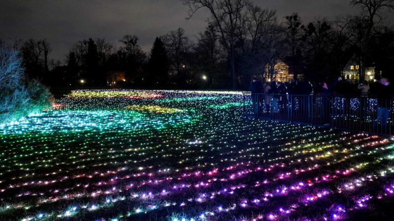 (211120) -- BERLIN, Nov. 20, 2021 (Xinhua) -- Visitors look at light decorations during the "Christmas Garden Berlin" light show at Berlin-Dahlem Botanical Garden in Berlin, capital of Germany, Nov. 19, 2021. The "Christmas Garden Berlin" kicked off on Friday and will last until Jan. 9, 2022. (Photo by Stefan Zeitz/Xinhua)