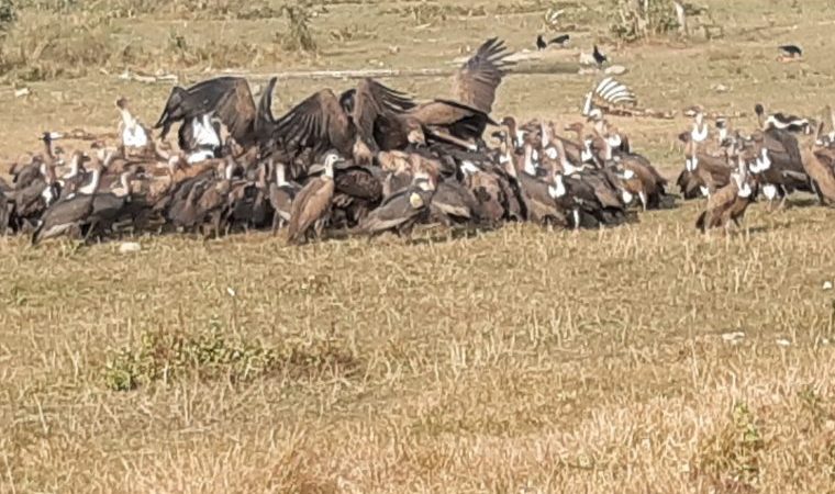 पर्यटनसँग जोडिँदै जटायु रेष्टुरेण्ट