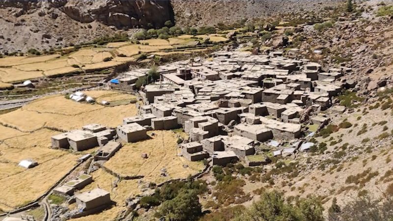 निर्वाचनअघि नै चुने वडाध्यक्ष र सदस्य